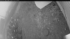 Web Cam Image - Wed, 10/22/2025 1:49pm PDT