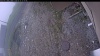 Web Cam Image - Wed, 05/13/2026 3:59pm PDT