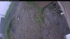 Web Cam Image - Fri, 06/05/2026 11:04am PDT