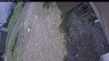 Web Cam Image - Sat, 06/06/2026 12:14pm PDT