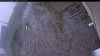 Web Cam Image - Fri, 05/15/2026 7:49am PDT