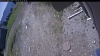 Web Cam Image - Wed, 05/27/2026 10:44am PDT