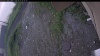 Web Cam Image - Sat, 06/27/2026 4:09am PDT