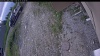 Web Cam Image - Wed, 06/17/2026 9:24am PDT