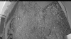 Web Cam Image - Sun, 09/07/2025 4:24am PDT