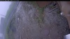 Web Cam Image - Mon, 05/25/2026 6:34pm PDT
