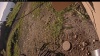Web Cam Image - Fri, 07/11/2025 12:34pm PDT