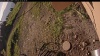 Web Cam Image - Fri, 07/11/2025 12:14pm PDT
