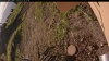 Web Cam Image - Fri, 07/11/2025 11:34am PDT