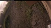 Web Cam Image - Fri, 09/12/2025 6:29am PDT
