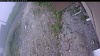 Web Cam Image - Wed, 06/17/2026 7:29am PDT