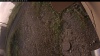 Web Cam Image - Fri, 09/12/2025 6:19am PDT