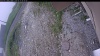 Web Cam Image - Wed, 06/17/2026 7:19am PDT