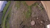 Web Cam Image - Fri, 07/11/2025 11:04am PDT