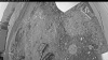 Web Cam Image - Tue, 04/29/2025 2:24am PDT