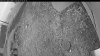 Web Cam Image - Sun, 09/07/2025 4:14am PDT
