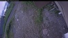 Web Cam Image - Sat, 07/04/2026 4:09am PDT