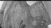 Web Cam Image - Tue, 04/29/2025 2:19am PDT