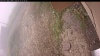 Web Cam Image - Fri, 09/12/2025 5:39am PDT