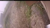Web Cam Image - Fri, 09/12/2025 5:24am PDT