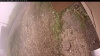 Web Cam Image - Fri, 09/12/2025 5:19am PDT