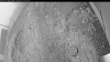 Web Cam Image - Fri, 09/12/2025 5:14am PDT