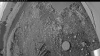 Web Cam Image - Fri, 07/11/2025 10:14am PDT