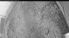 Web Cam Image - Fri, 09/12/2025 5:09am PDT