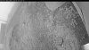 Web Cam Image - Fri, 09/12/2025 5:04am PDT