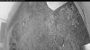 Web Cam Image - Sun, 09/07/2025 4:09am PDT