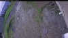 Web Cam Image - Fri, 06/05/2026 7:39pm PDT