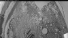 Web Cam Image - Fri, 07/11/2025 10:04am PDT