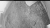 Web Cam Image - Fri, 09/12/2025 4:49am PDT