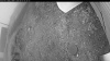 Web Cam Image - Sun, 09/07/2025 4:04am PDT