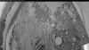 Web Cam Image - Fri, 07/11/2025 8:44am PDT