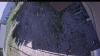 Web Cam Image - Mon, 06/01/2026 4:19pm PDT