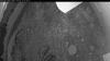 Web Cam Image - Fri, 07/11/2025 8:19am PDT