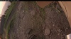 Web Cam Image - Sat, 06/14/2025 10:34pm PDT