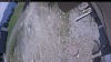 Web Cam Image - Thu, 05/21/2026 11:44am PDT