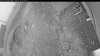 Web Cam Image - Wed, 06/17/2026 3:24am PDT