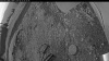 Web Cam Image - Sat, 06/14/2025 9:44pm PDT