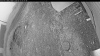 Web Cam Image - Wed, 06/17/2026 3:09am PDT