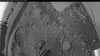 Web Cam Image - Sat, 06/14/2025 9:39pm PDT