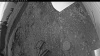 Web Cam Image - Sat, 06/14/2025 9:34pm PDT