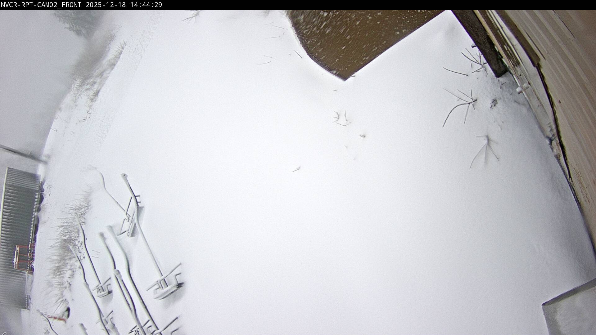 Web Cam History Image - 200