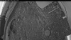 Web Cam Image - Wed, 05/20/2026 4:04am PDT