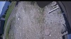 Web Cam Image - Wed, 05/27/2026 11:34am PDT