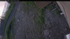 Web Cam Image - Sat, 07/04/2026 3:44am PDT