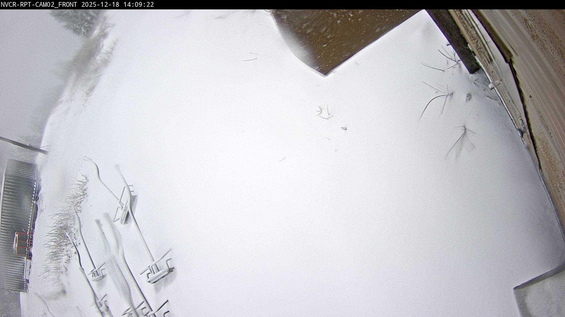 Web Cam History Image - 207