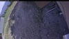 Web Cam Image - Sat, 05/23/2026 2:59pm PDT